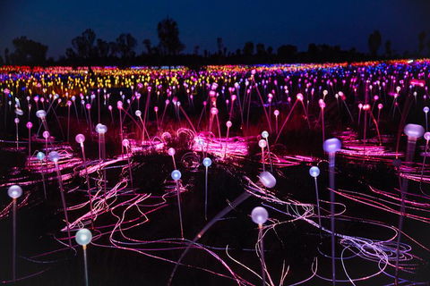 Uluru Field Of Light Sunrise Tour - Attractions Sydney 13