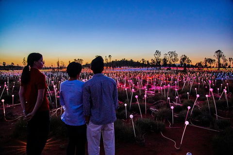 Uluru Field Of Light Sunrise Tour - Attractions Sydney 5