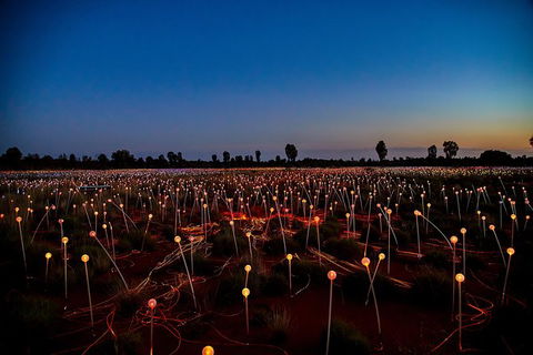Uluru Field Of Light Sunrise Tour - Attractions Sydney 7