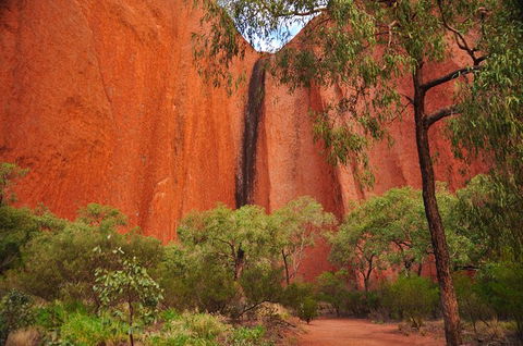 Uluru Sunrise And Guided Base Walk - Attractions Sydney 14