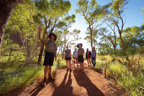 Uluru Small Group Tour Including Sunset - Attractions Sydney 5