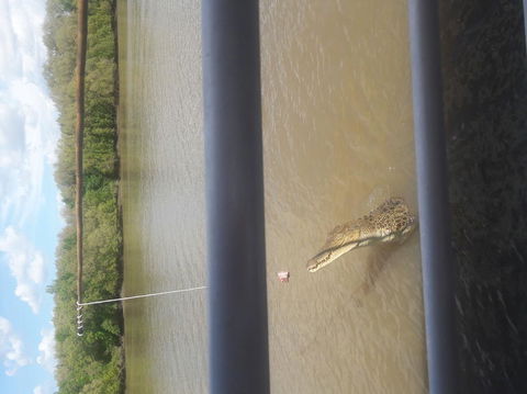 Darwin Jumping Crocodiles Cruise On Adelaide River - Attractions Sydney 3