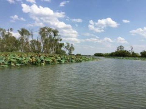 1 Day Corroboree Billabong Wetland Experience Including 2.5 Hour Cruise + Lunch - Attractions Sydney 4