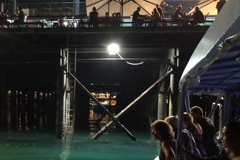 Darwin Sunset Cruise, Including Fish \'n\' Chips - Attractions Sydney 8