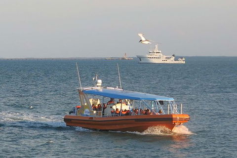 1-Hour Darwin Harbour Highlights Cruise - Attractions Sydney 0