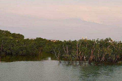 1-Hour Darwin Harbour Highlights Cruise - Attractions Sydney 7