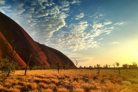 Highlights Of Uluru Including Sunrise And Breakfast - Attractions Sydney 5