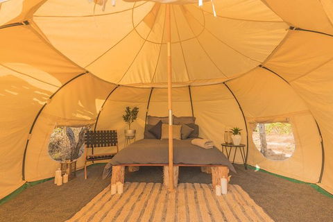 Outback Floatplane Safari Camp Overnighter Including Airboat From Darwin - Attractions Sydney 1