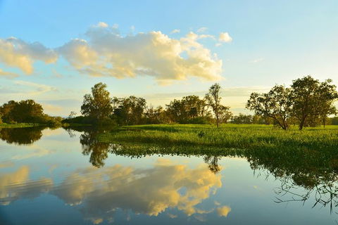 Kakadu National Park Scenic Flight & Cruise - Attractions Sydney 13