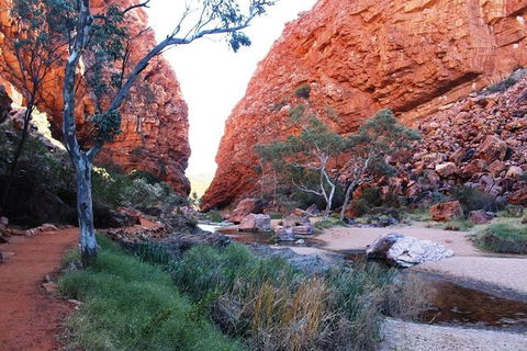 Half Day MacDonnell Ranges Small Group - Private Guided Tour - Attractions Sydney 0