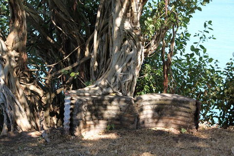Darwin Walking Tour: World War II Reflections - Attractions Sydney 6