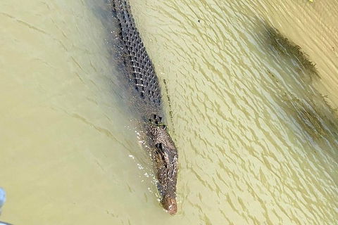 Kakadu & Katherine Gorge Full Day Air Tour, Helicopter & Cruise - Attractions Sydney 6