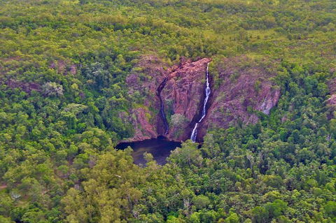 Litchfield Park Scenic Flight From Darwin - Attractions Sydney 10
