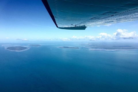 Litchfield Park Scenic Flight From Darwin - Attractions Sydney 11
