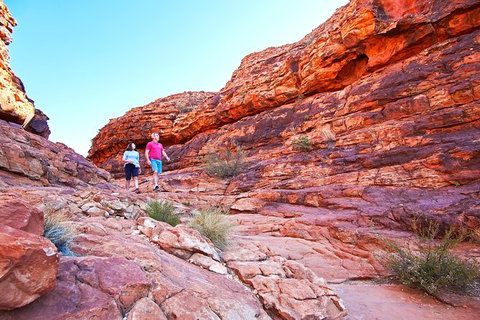 Coach Transfer From Kings Canyon Resort To Ayers Rock Resort - Attractions Sydney 6