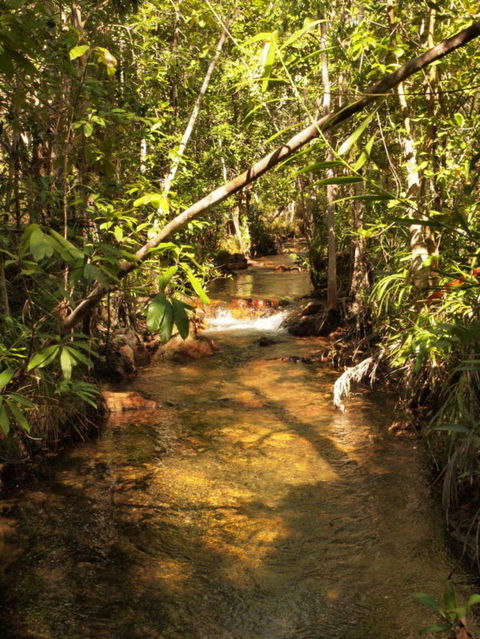 Katherine Day Tour From Darwin Including Katherine Gorge Cruise - Attractions Sydney 10