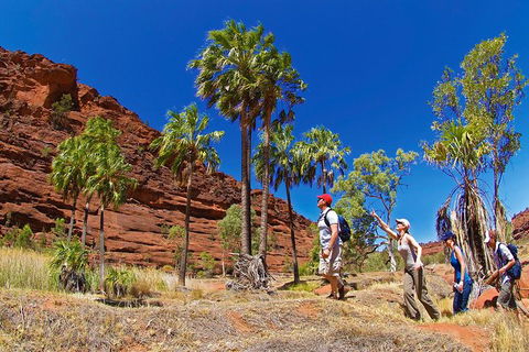 Palm Valley 4WD Tour From Alice Springs - Attractions Sydney 0
