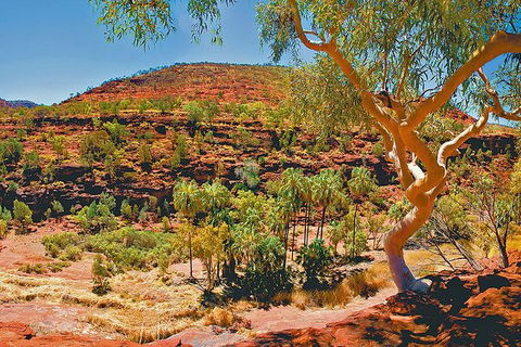 Palm Valley 4WD Tour From Alice Springs - Attractions Sydney 6