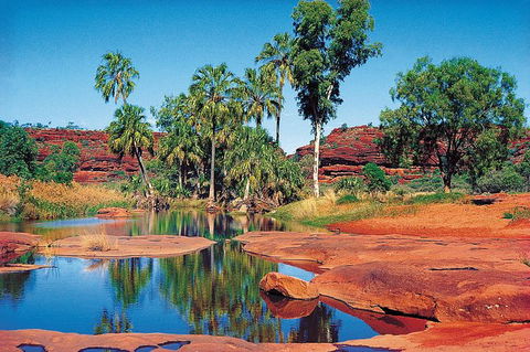 Palm Valley 4WD Tour From Alice Springs - Attractions Sydney 5