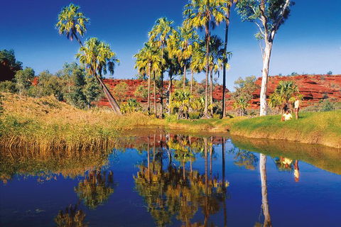 Palm Valley 4WD Tour From Alice Springs - Attractions Sydney 3