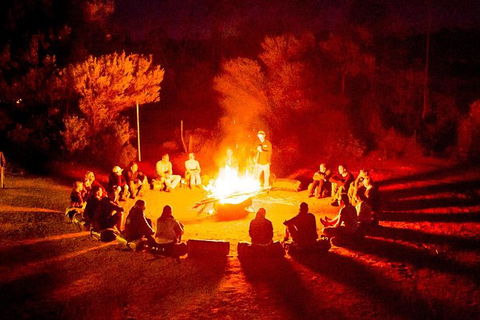 3-Day Red Centre Camping Safari From Alice Springs Or Ayers Rock Including Kings Canyon - Attractions Sydney 1