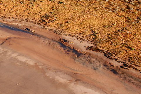 Scenic Flight: Lizard Safari - Attractions Sydney 1