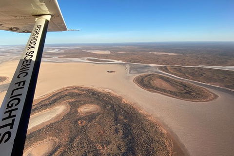 Scenic Flight: Lizard Safari - Attractions Sydney 3