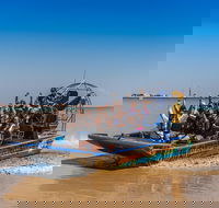 1 Hour Darwin Airboat Tours