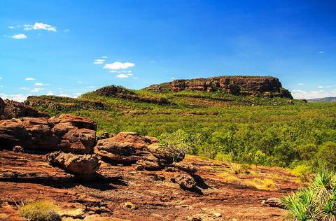 Kakadu, Nourlangie And Yellow Waters Tour From Darwin - Attractions Sydney 34