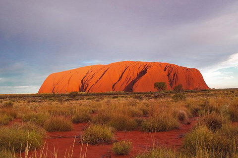 Uluru (Ayers Rock) Sunset Tour - Attractions Sydney 6
