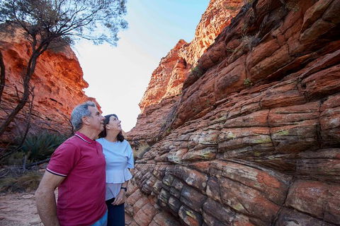 3-Day Alice Springs To Uluru (Ayers Rock) Via Kings Canyon Tour - Attractions Sydney 17