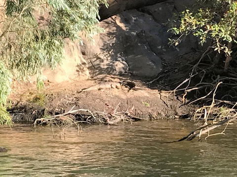 Nitmiluk (Katherine) Gorge 3.5-Hour Sunset Dinner Boat Tour - Attractions Sydney 4