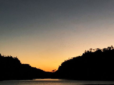 Nitmiluk (Katherine) Gorge 3.5-Hour Sunset Dinner Boat Tour - Attractions Sydney 9