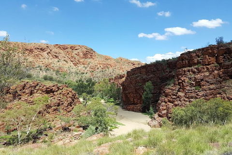 East MacDonnell Ranges 1 Day 4WD Tour - Attractions Sydney 0
