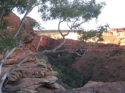 3-Day Uluru And Kings Canyon Camping Experience From Alice Springs Including Outback BBQ Dinner - Attractions Sydney 1