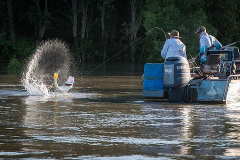 Freshwater Or Saltwater Barramundi Fishing Day Trip From Darwin - Attractions Sydney 1
