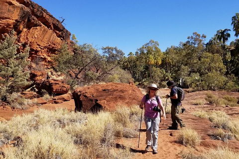 Palm Valley And Hermannsburg 1 Day 4WD Tour - Attractions Sydney 5