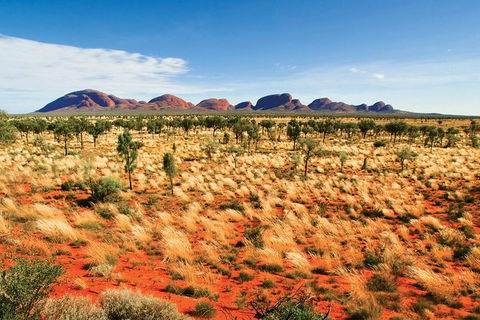 2-Day Uluru (Ayers Rock) And Kata Tjuta Trip From Alice Springs - Attractions Sydney 9