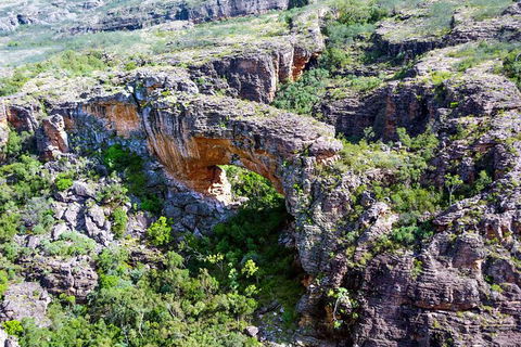 Darwin To Katherine Day Trip By Air Including Nitmiluk (Katherine) Gorge Cruise - Attractions Sydney 5