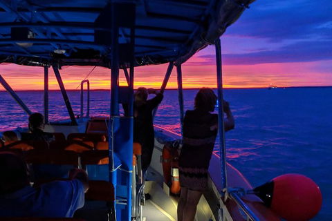 Tropical Light Tropical Bite - Twilight Cruise And CHOW Dinner - Attractions Sydney 9