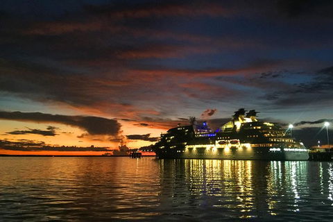 Tropical Light Tropical Bite - Twilight Cruise And CHOW Dinner - Attractions Sydney 6