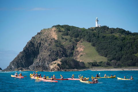 Kayaking With Dolphins In Byron Bay Guided Tour - Attractions Sydney 2