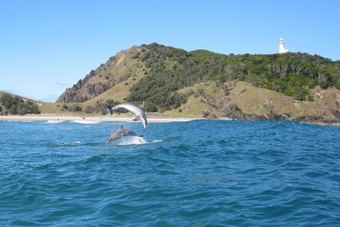 Kayaking With Dolphins In Byron Bay Guided Tour - Attractions Sydney 8