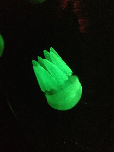 SEA LIFE Sydney Aquarium Entrance Ticket - Attractions Sydney 2