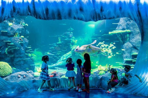 SEA LIFE Sydney Aquarium Entrance Ticket - Attractions Sydney 0