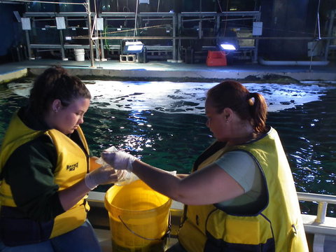 SEA LIFE Sydney Aquarium Entrance Ticket - Attractions Sydney 14