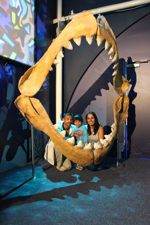 SEA LIFE Sydney Aquarium Entrance Ticket - Attractions Sydney 6