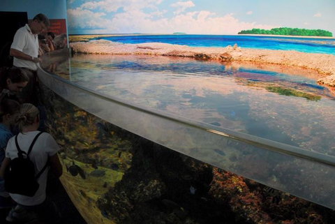 SEA LIFE Sydney Aquarium Entrance Ticket - Attractions Sydney 24