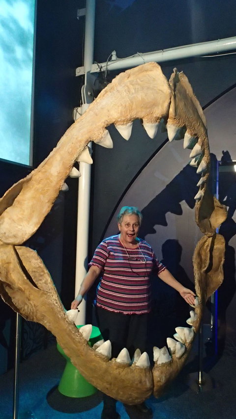 SEA LIFE Sydney Aquarium Entrance Ticket - Attractions Sydney 3