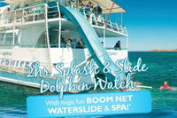 Port Stephens Dolphin Watching Cruise Including Splash and Slide